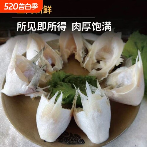 新鲜鲈鱼翅鱼鳍冷冻鲈鱼生鲜海鲜红烧油炸鱼剁椒食材海鲜产品批发