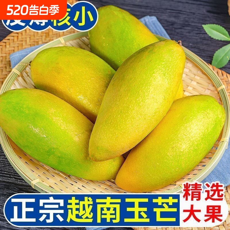 越南芒果玉芒精品9斤5斤孕妇水果整箱芒果新鲜当季热带水果直发