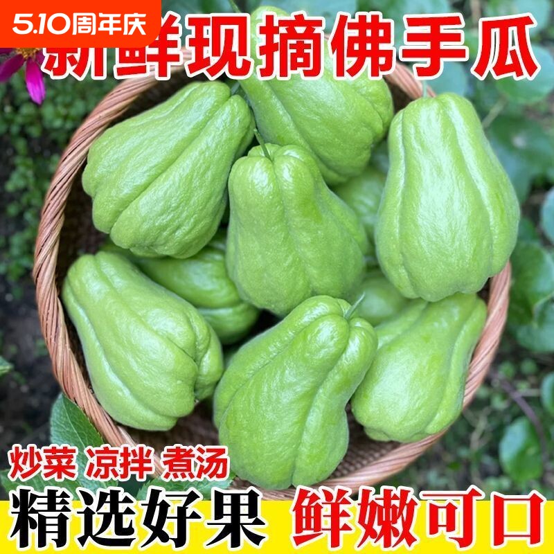 【新鲜脆嫩】攀枝花佛手瓜新鲜应季丰收现摘现发农家自种蔬菜批发