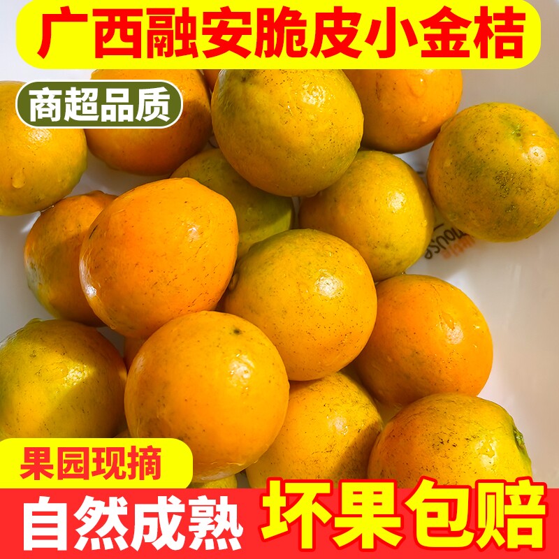 广西融安脆皮金桔5斤新鲜橘子孕妇水果大果当季金桔包邮现摘小金