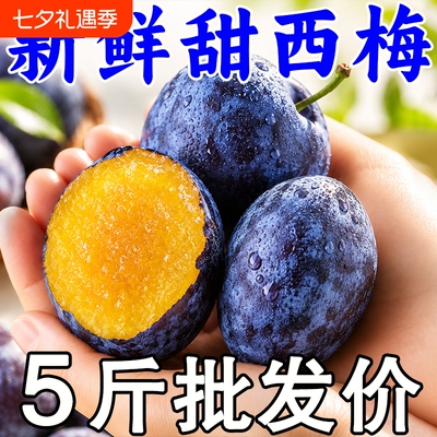 四川新鲜甜西梅鲜果放软更甜李子法兰西新鲜水果当季现摘整箱包邮