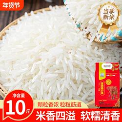 正宗超长粒香米新大米丝苗米5KG长粒猫牙米10斤优质上林当季籼米