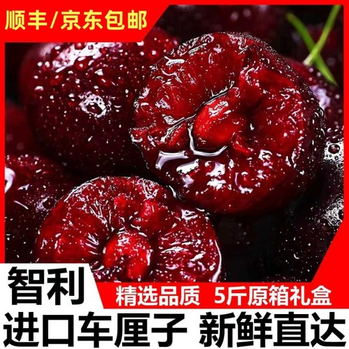 【海运5斤礼盒装】智利进口车厘子新鲜当季水果顺丰京东包邮多汁