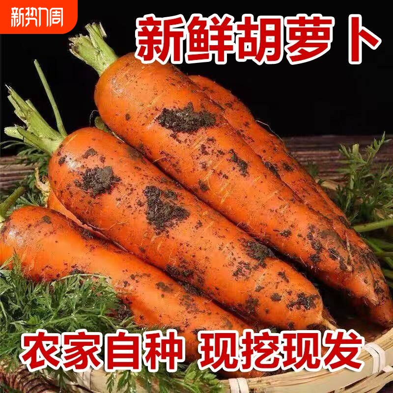 河南胡萝卜新鲜现挖农家自种蔬菜宝宝辅食红萝卜甜脆多汁营养健康