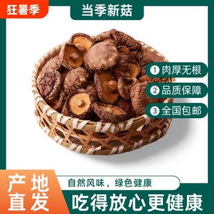 干香菇当季香菇干肉厚新货冬菇干蘑菇短根特产好吃精品健康