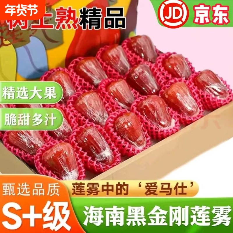京东包邮海南黑金刚莲雾新鲜水果当季热带大果孕妇一级果礼盒装,水产肉类/新鲜蔬果/熟食,莲雾,淘宝优惠券,粉丝福利购,淘宝优惠卷