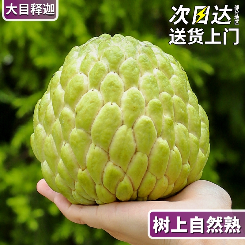顺丰速达|泰国进口大目释迦