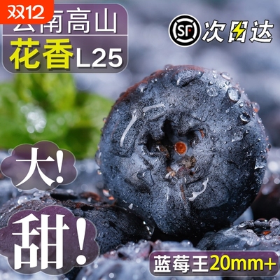 云南蓝莓王丨当天速发丨顺丰包邮