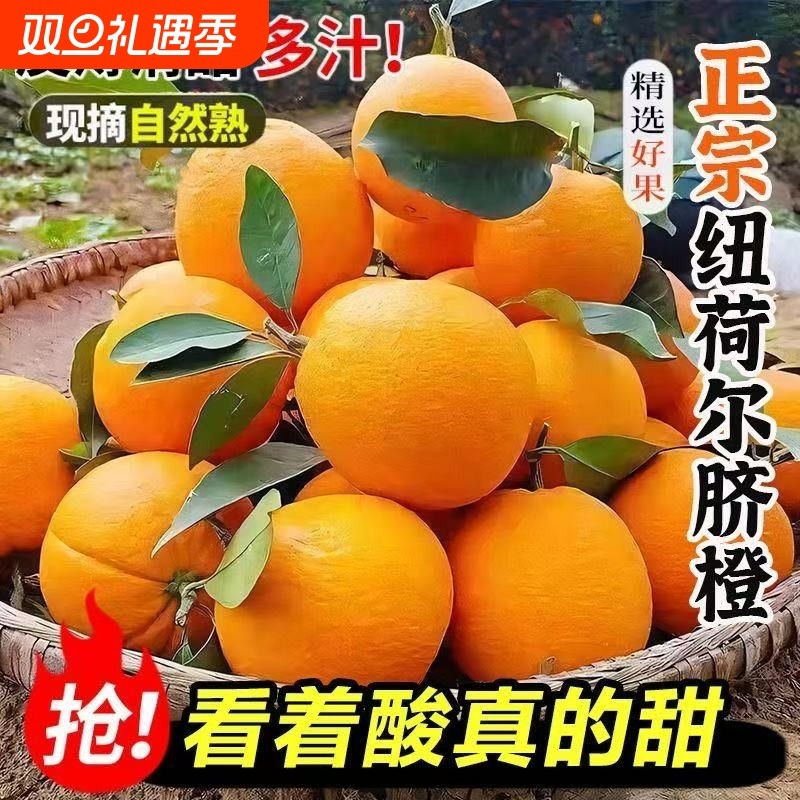 纽荷尔脐橙当季孕妇水果新鲜橙子榨汁鲜橙酸甜多汁现摘果园直供