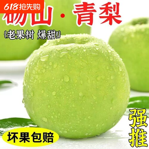 正宗砀山青梨翠玉梨爆甜无渣新鲜水果梨子砀山梨爽口汁青皮梨产地