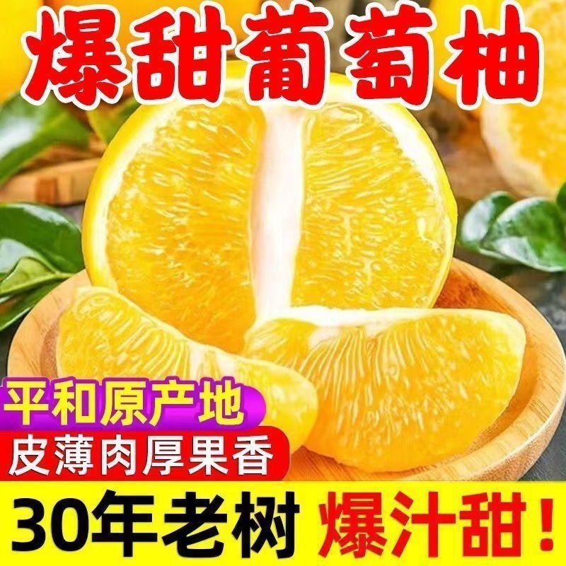 福建平和管溪红肉皮薄柚子
