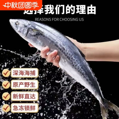 大鲅鱼新鲜活鲐鲅鱼马鲛鱼大整条冷冻青花鱼马友鱼海鲜批发冰鲜