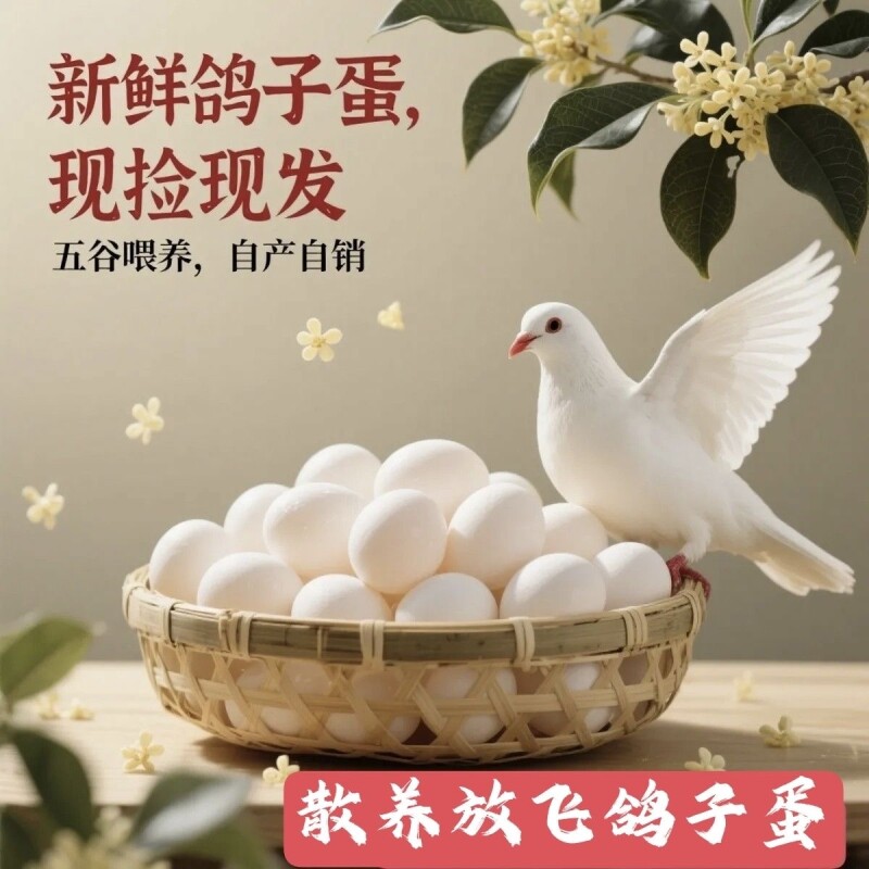 新鲜鸽子蛋30枚农家自养杂粮草鸽蛋50枚60枚辅食蛋营养健康包邮