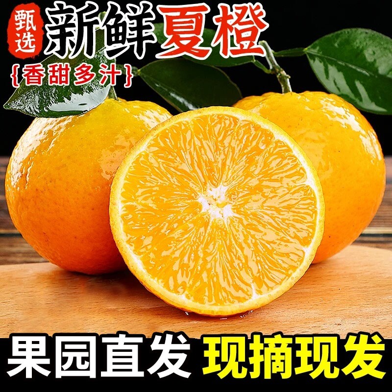 江西脐橙橙子夏橙脐橙新鲜大果甜春橙榨汁手剥橙整箱当季水果现摘