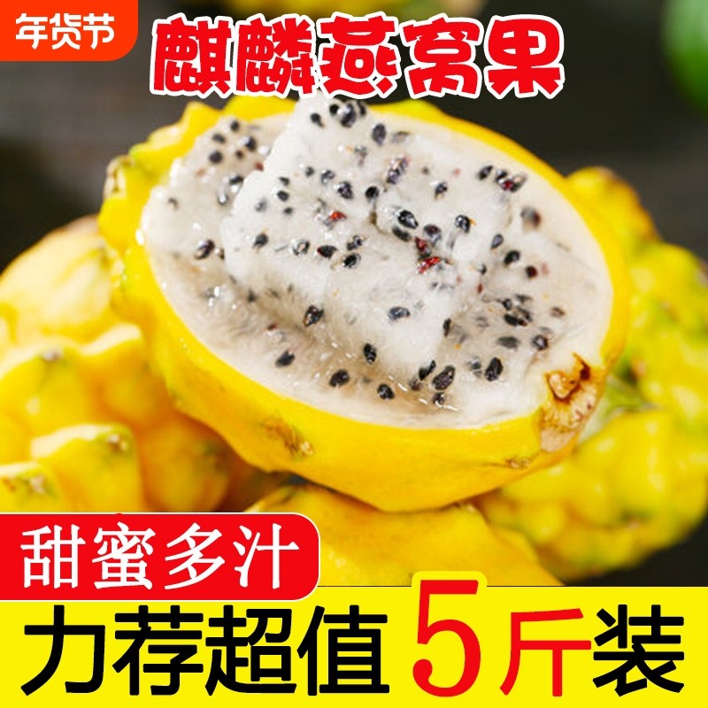 正宗新鲜麒麟燕窝果当季黄皮白心火龙果热带特产新鲜水果海南包邮,水产肉类/新鲜蔬果/熟食,火龙果,淘宝优惠券,粉丝福利购,淘宝优惠卷