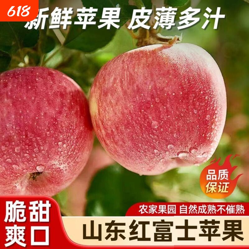 山东沂源苹果红富士高山老树种植无打蜡自然熟脆甜多汁孕妇可食