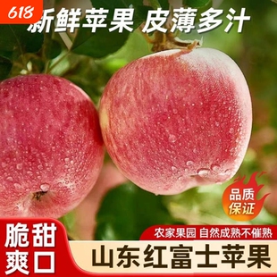 山东沂源苹果红富士高山老树种植无打蜡自然熟脆甜多汁孕妇可食