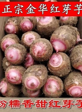 正宗浙江金华红芽芋艿粉糯香甜小芋头新鲜先挖先发红梗软糯小毛芋