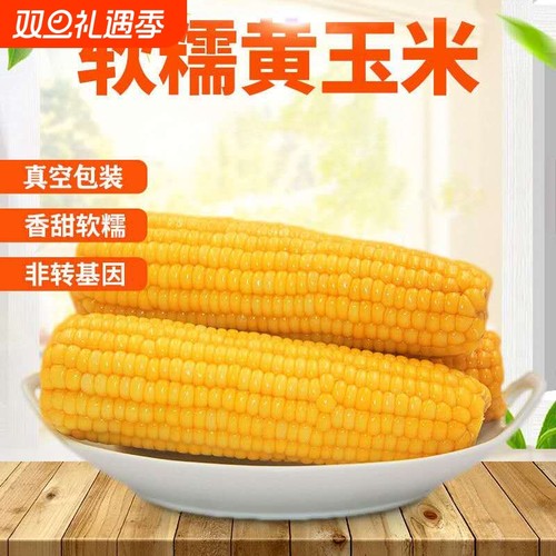 山西新鲜甜糯真空包装大玉米棒黄色早餐2025绿色认证8根大棒香甜