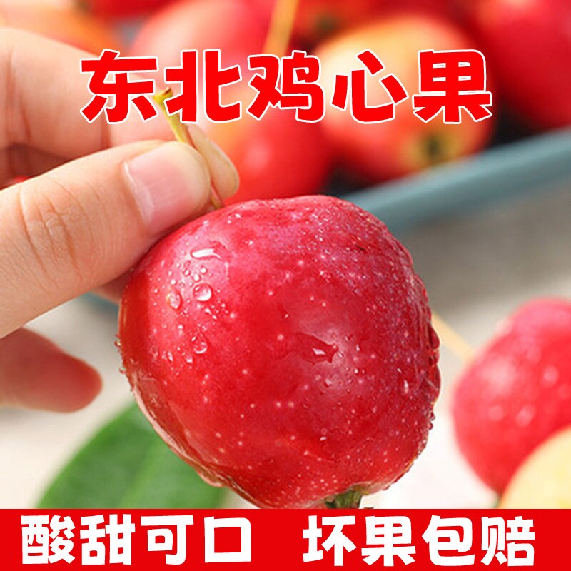 正宗东北鸡心果山地小苹果当季应季沙果新鲜孕妇水果锦绣海棠现摘