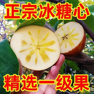 现摘冰糖心苹果水果新鲜脆甜皮薄红富士丑苹果孕妇整箱