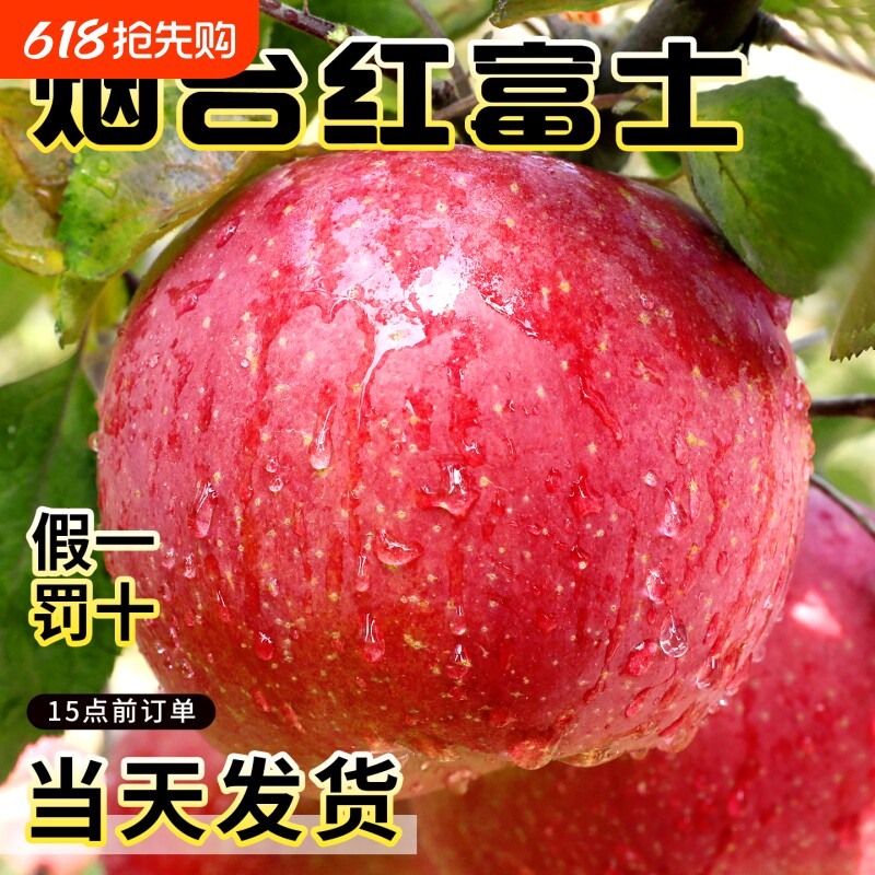 烟台红富士苹果10斤应当季新鲜水果整箱山东栖霞冰糖心丑平果自提