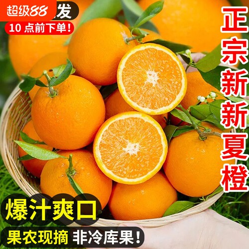 正宗秭归夏橙现摘新鲜水果橙子果冻橙手剥冰糖甜橙应当季整箱橙意