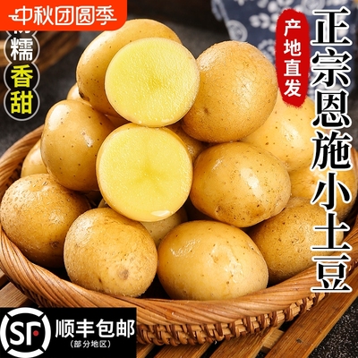 新鲜黄皮黄心土豆新鲜现挖