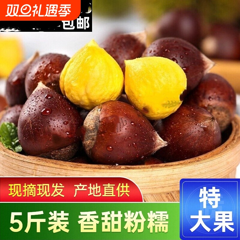 【2025年新货上市】丹东新鲜板栗生栗子现摘现发老树野生高山板栗