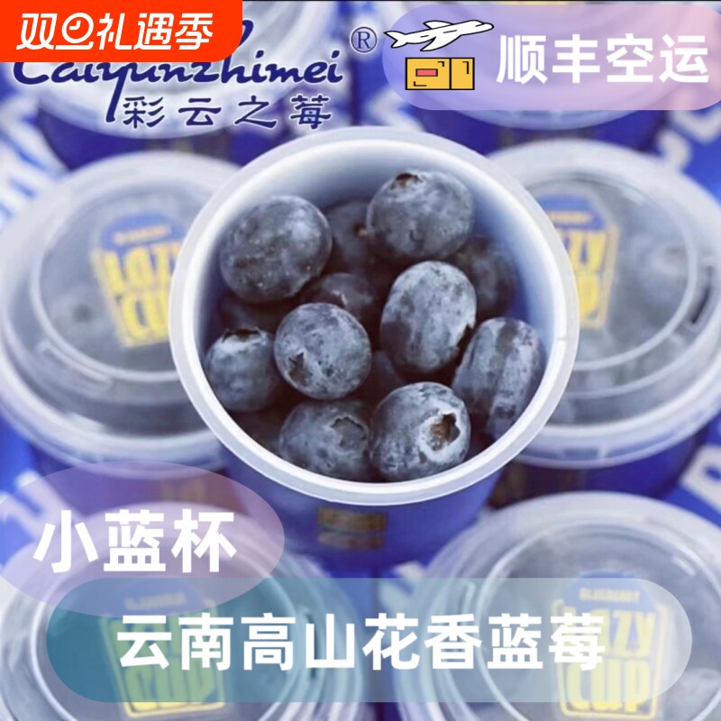 当季云南高山花香蓝莓鲜果小蓝杯脆甜新鲜现采现摘装顺丰空运水果