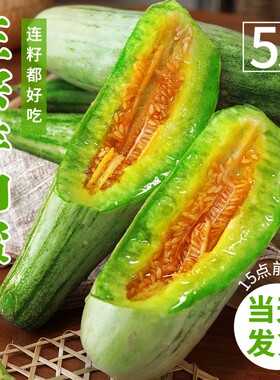 头茬现摘羊角脆甜蜜瓜正宗山东