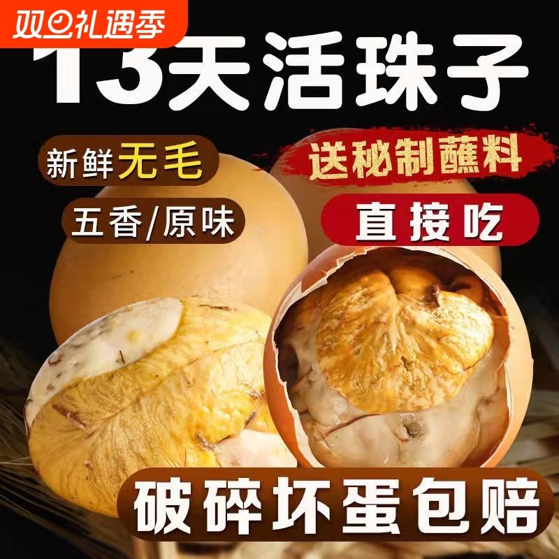 活珠子开袋即食13天麻辣毛蛋香辣味活珠熟制钢化蛋喜蛋五香