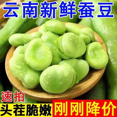 超低价！现摘头茬鲜嫩蚕豆