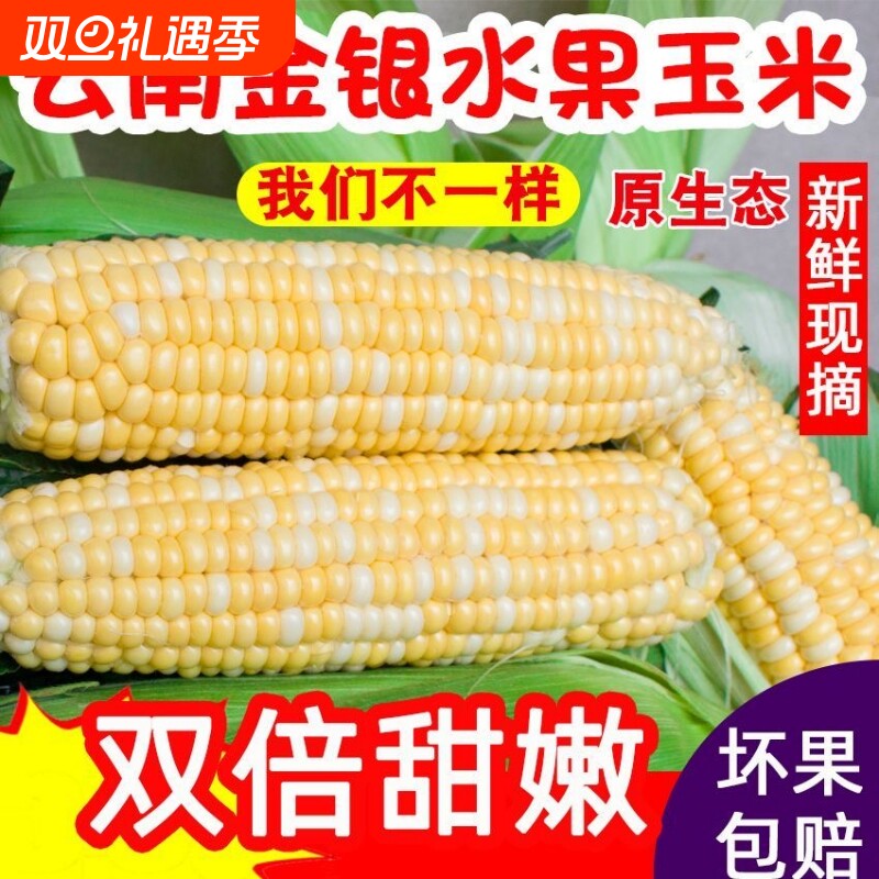 云南金银水果玉米9斤新鲜生吃甜玉米棒子苞谷米现摘糯包邮蔬菜