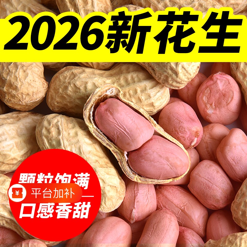 生花生2026年新鲜干花生带壳晒干原味粉红皮白沙高产种子花生果米