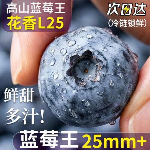 云南蓝莓鲜果新鲜水果现货l25高山花香整箱孕妇空运大果脆甜