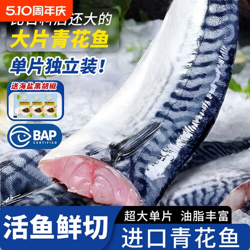 青花鱼新鲜大鲐鱼鲐鱼片鲅鱼马鲛鱼青花鱼片鲜活冷冻鲭鱼烧烤食材