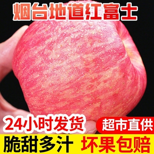 正宗山东红富士苹果新鲜水果冰糖心苹果产地直发无蜡头茬应季 脆甜