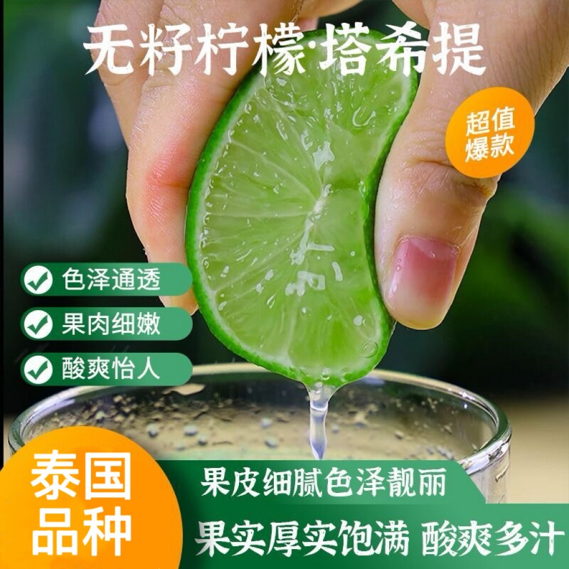 无籽塔希提青柠檬5斤泰国品种青柠金桔香水绿柠檬新鲜当季皮薄