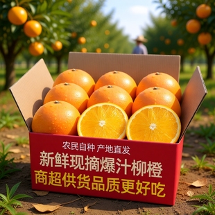 正宗现摘高山柳橙脐橙大果新鲜橙子当季 水果冰糖5斤果冻春橙纯甜9