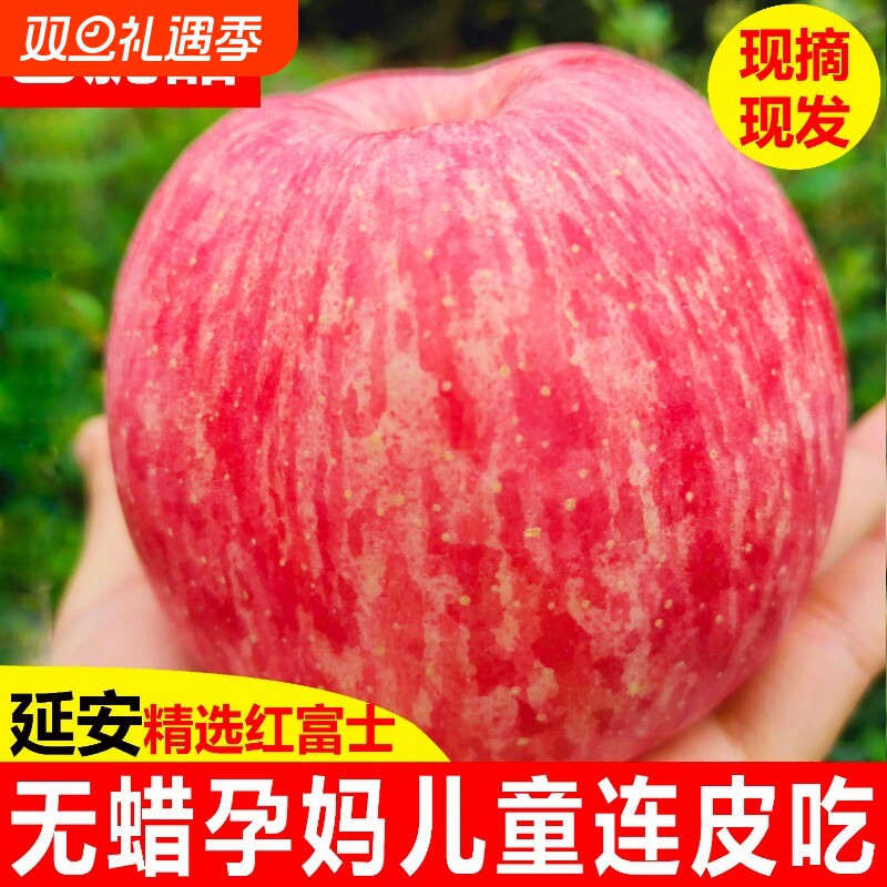 正宗陕西洛川苹果水果新鲜当季整箱红富士冰糖心一级脆甜10斤包邮