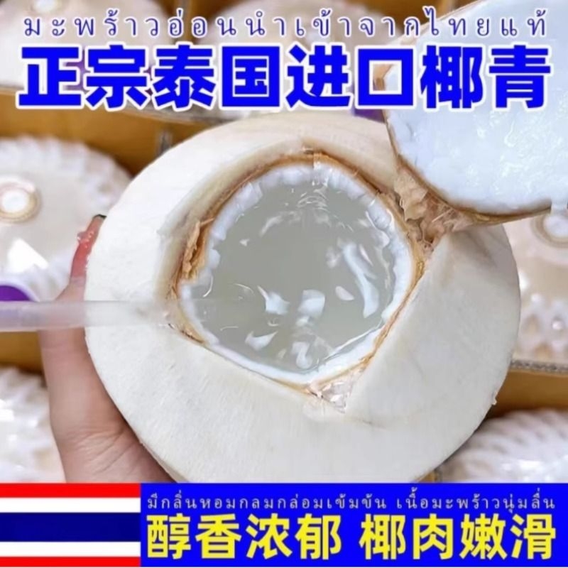 泰国进口椰青椰子
