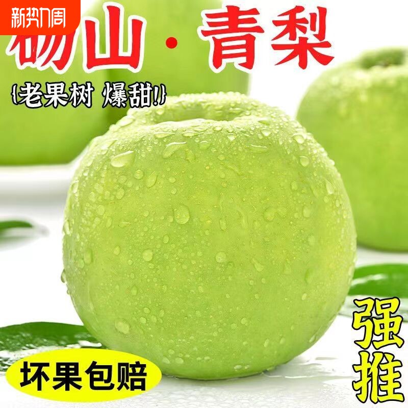 正宗砀山青梨翠玉梨爆甜无渣新鲜水果梨子砀山梨爽口汁青皮梨产地