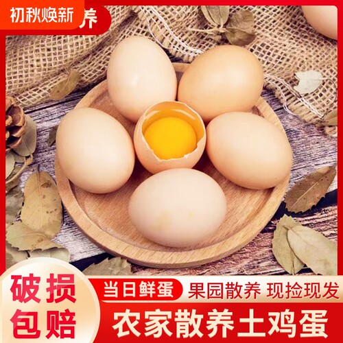 农家散养50枚鲜鸡蛋|千人加购