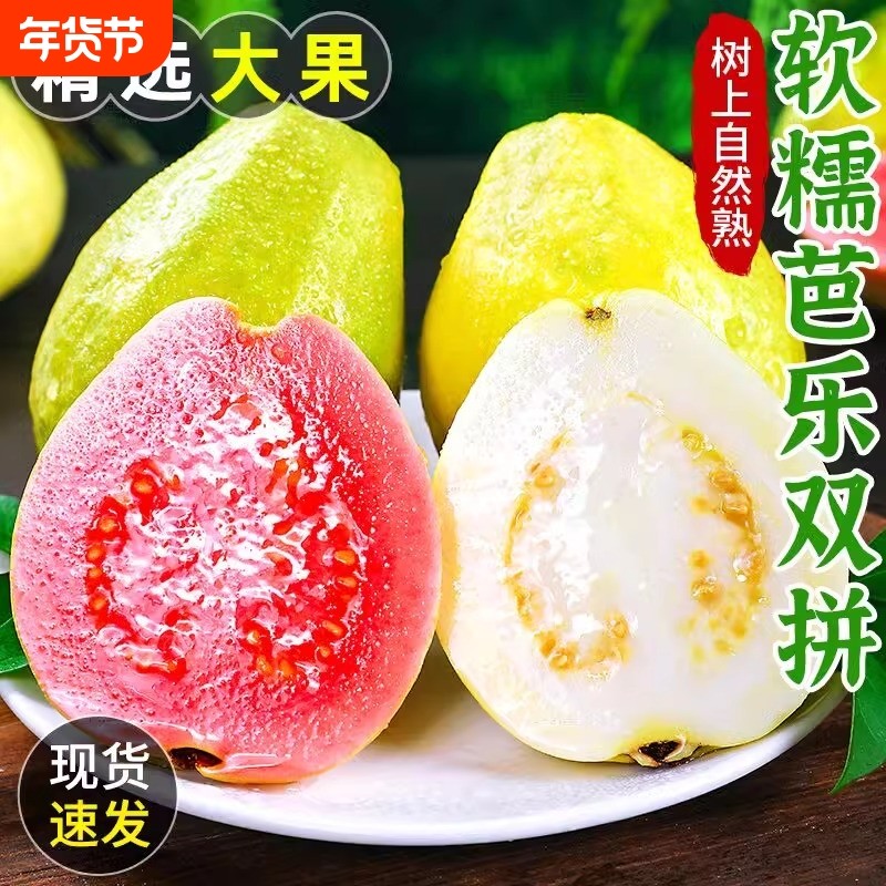 软糯红心芭乐5斤双拼白心整箱水果软心番石榴脆甜奶油胭脂大果,水产肉类/新鲜蔬果/熟食,番石榴/芭乐,淘宝优惠券,粉丝福利购,淘宝优惠卷