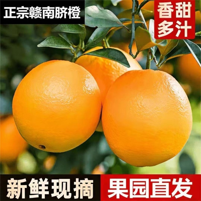 新鲜脐橙手剥橙子儿童孕妇应季水果榨汁直发维c果园现摘年货多汁