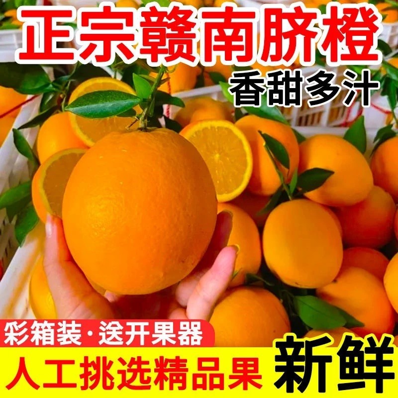 正宗江西赣南脐橙果园批发大果新鲜橙子手剥当季时令水果精品现摘