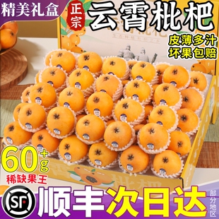 包邮 现摘新鲜琵琶水果批把整箱 甜 正宗云霄枇杷5斤大果当季 礼盒装