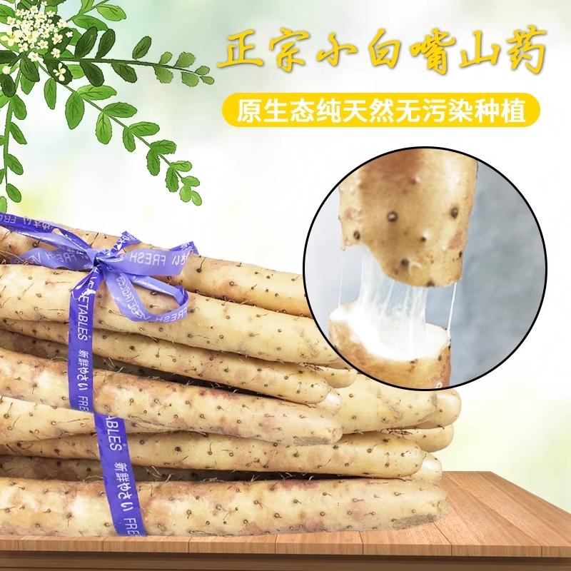正宗小白嘴山药蔬菜铁棍山药产地现挖新鲜粉糯营养l垆土怀山药