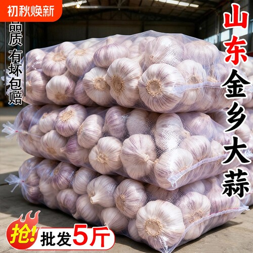 金乡大蒜特大果|超2000次加购